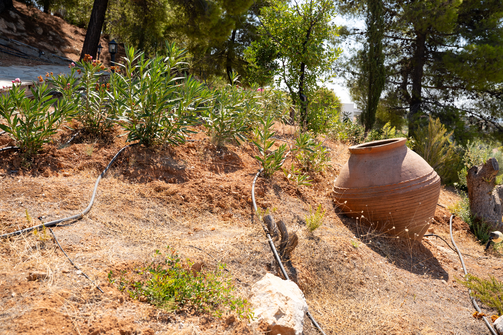 Garden at Villa Ariadne